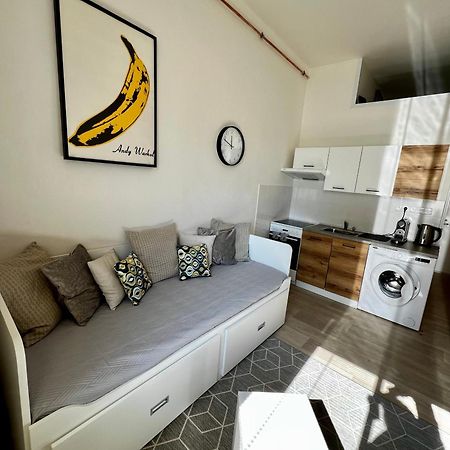 Apartman Zlata Hvezda เชสเกบูดิเยโจวิตเซ ภายนอก รูปภาพ